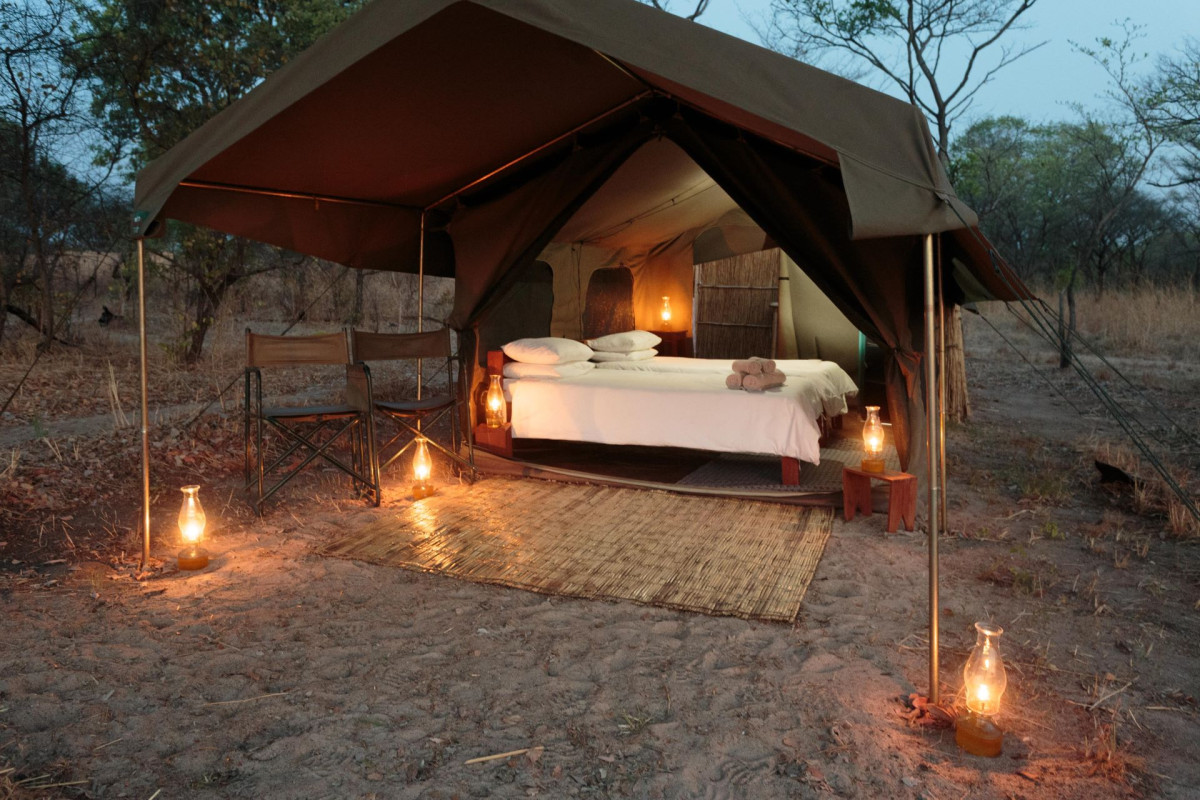 Nkonzi  |    Foto:  Gavin Opie Safaris 